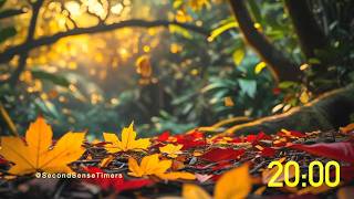 20 Minute Fall Timer with Music 🍁⏰ | Autumn Countdown for Classroom & Productivity