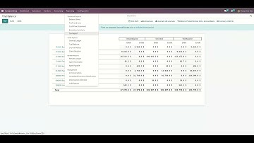 Odoo16 Financial Reports: Currency Filter | Account Report in Multiple Currencies | Account Reports