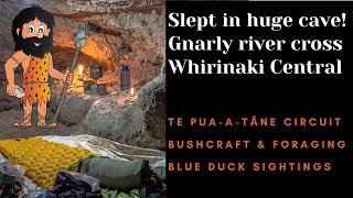Sleeping in Cave / Gnarly River crossings / Foraging & bushcraft fire /Whirinaki Central Forest
