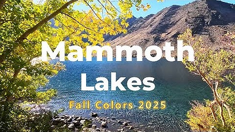 Thumbnail of Mammoth Lakes | Fall colors 2025 | カリフォルニアの紅葉