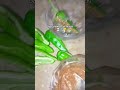 🥴 #kichen #reels #shortsviral #subscribers #viral #cooking #fypシ゚viral