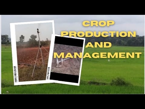 Video: Ano ang crop production class 8?