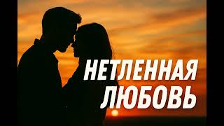 Нетленная любовь - Песня о любви