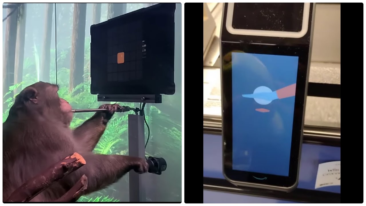 ALMOST THERE: NEURAL!NK + PALM PAYMENTS