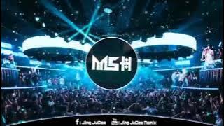 NONSTOP PALAVO REMIX 2020 - VINAHEY VIỆTMIX