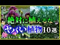 【ゆっくり解説】逮捕⁉病気に⁉庭に植えてはいけない「植物」10選を解説