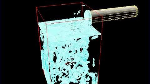 Phoenix FD test viewport