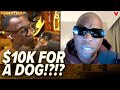 Chad Johnson loses it over how much Shannon Sharpe spent on his dog | Nightcap