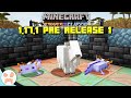 Minecraft 1.17.1 ON THE WAY! Axolotl, Goat, & Drowned Changes! | Minecraft 1.17.1 Pre Release 1