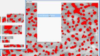 Precipitate/particle Size using ImageJ