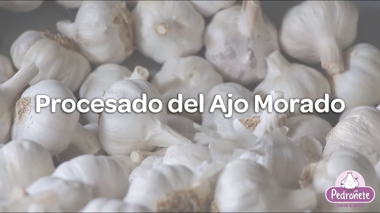 Procesado del Ajo Morado - Completo