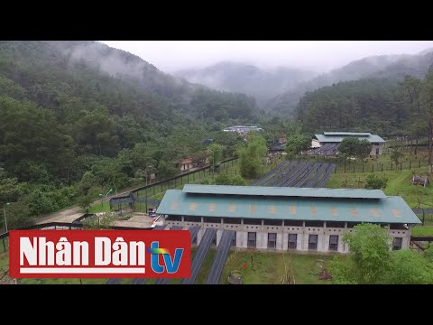 Video Vườn quốc gia Tam Đảo - youtube