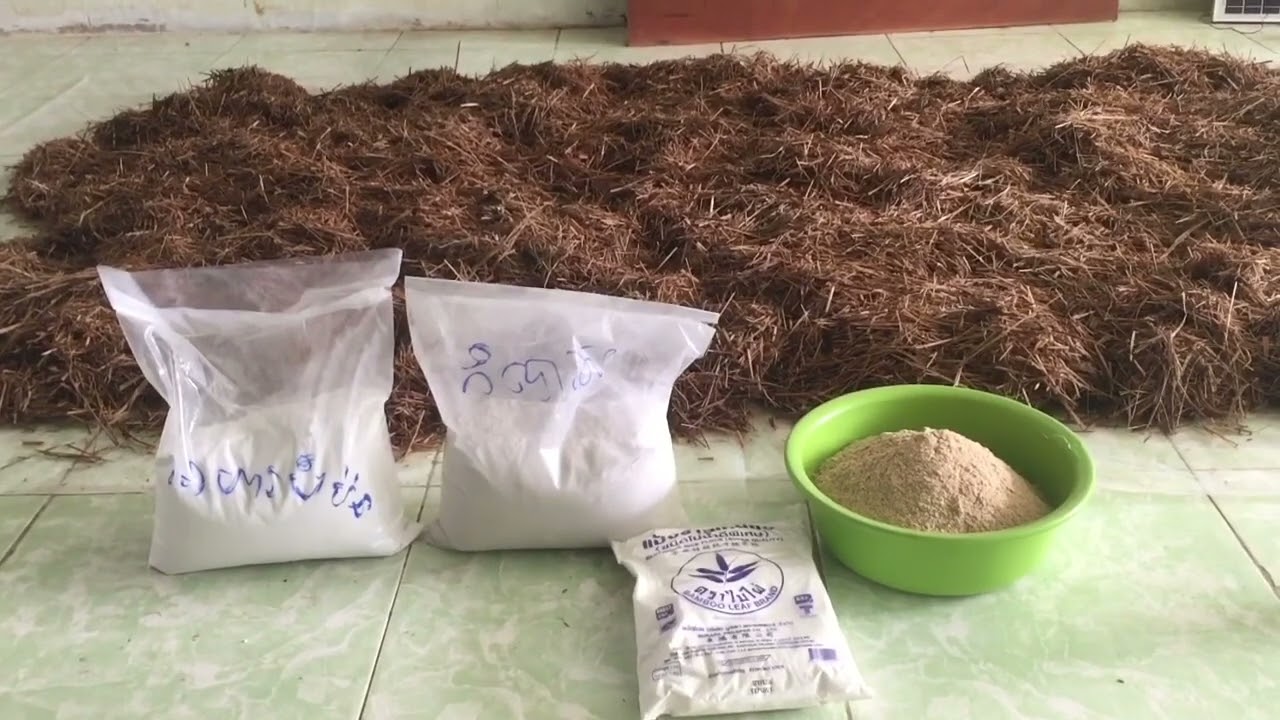 របៀប​ផលិត​មេផ្សិត​ចំបើង​ងាយៗ​ ជំហាន​ទី​ 1