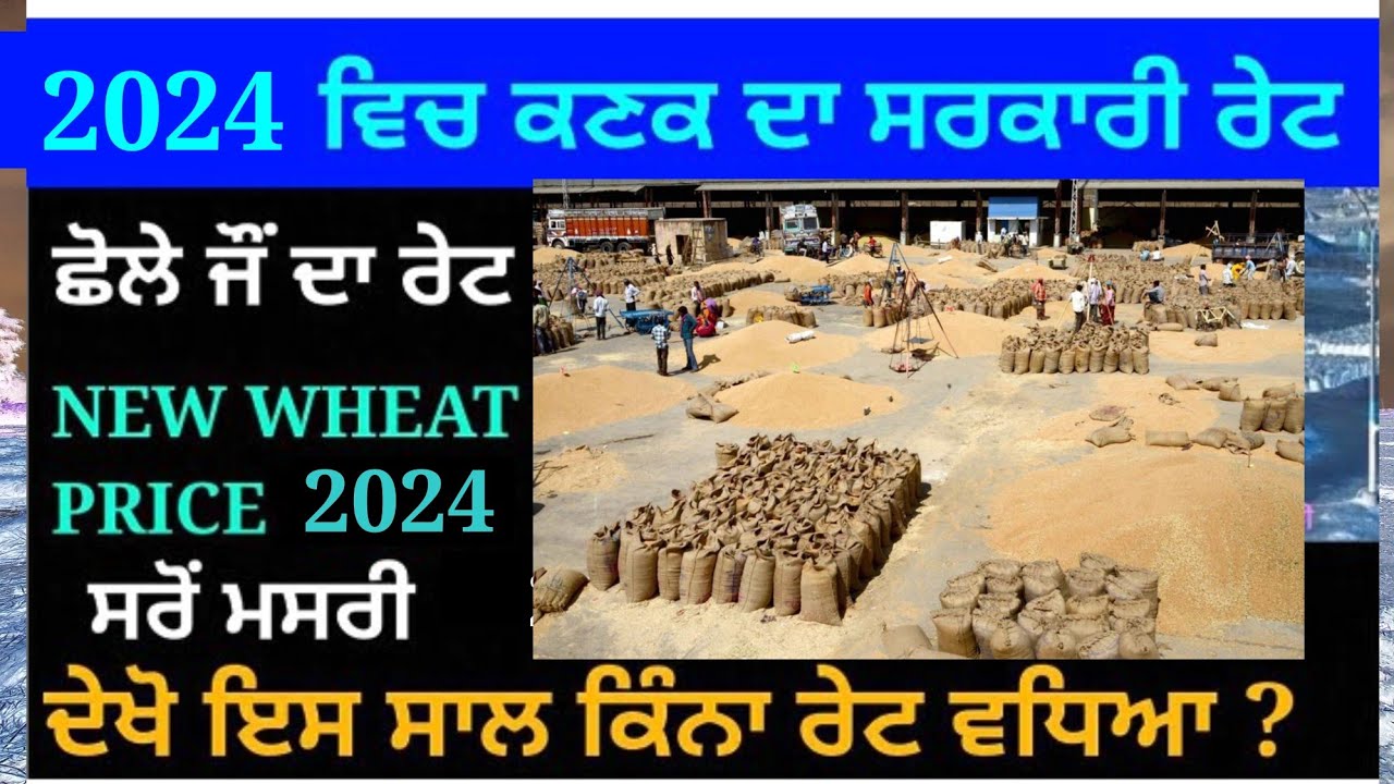 wheat new price 2024 || wheat govt price - YouTube