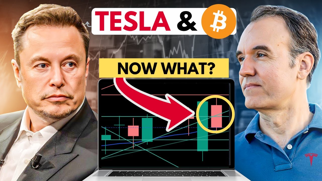 Что произошло с акциями Tesla сегодня?