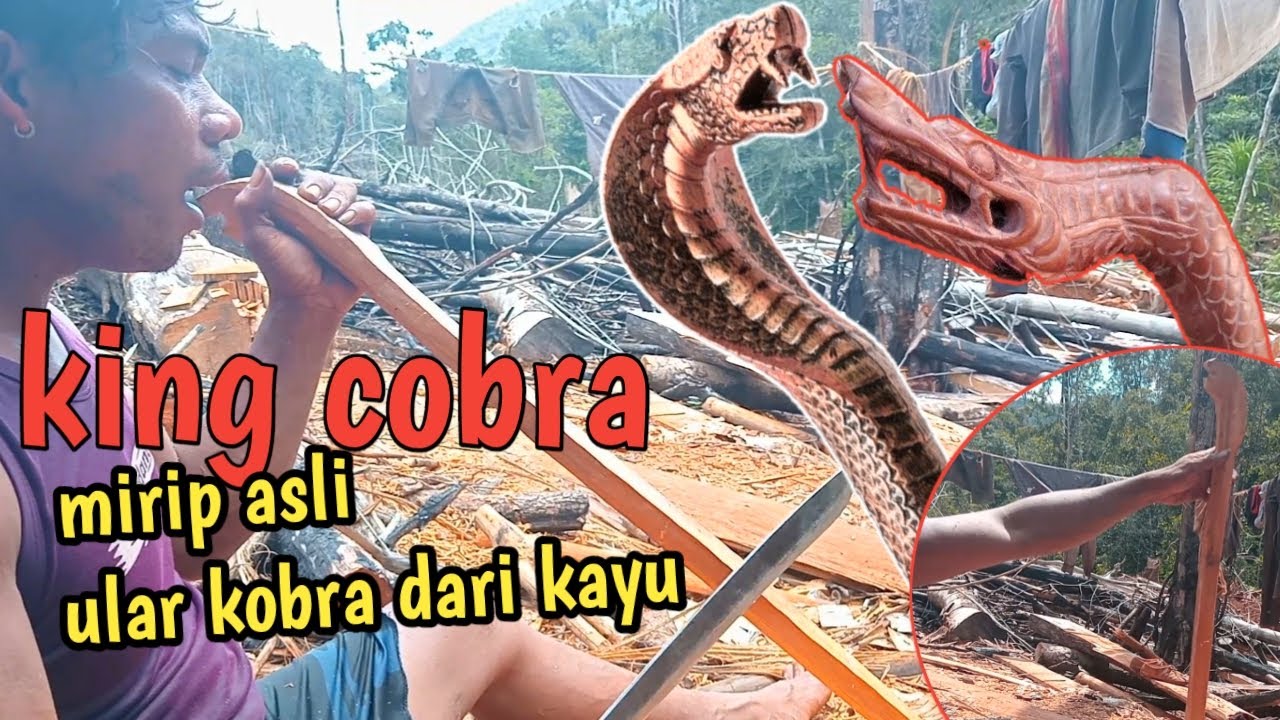 cara membuat tongkat ular raja cobra - YouTube