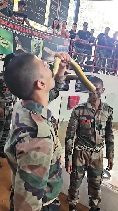 COMMANDO Eat a Snake 🐍 🐍🔥dangerous video #nsg #army