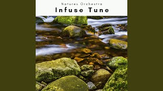 Vibrant Relax Joy Melody for Deep NAP