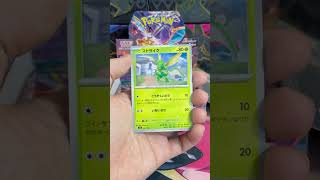 Eiscue Pokemon card Ruler of the Black Flame #shorts #pokemoncards
