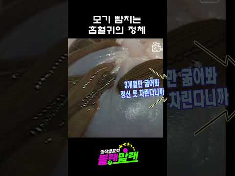 모기 뺨치는흡혈귀의 정체 #볼래말래 #쇼츠