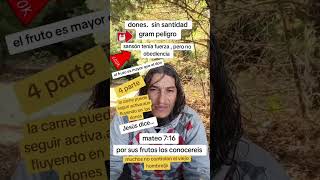 Jesús cristo vive y reina