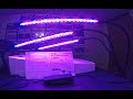 2019 4 27 UnBoxing Ankace 60W Tri Head Timing Grow Light, Red & Blue Spectrum