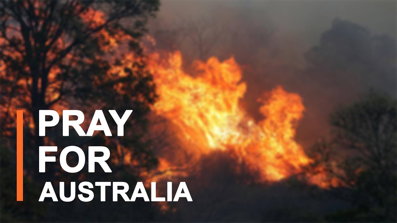 Australia fire news and details of damage to Environment | Sahit Tv