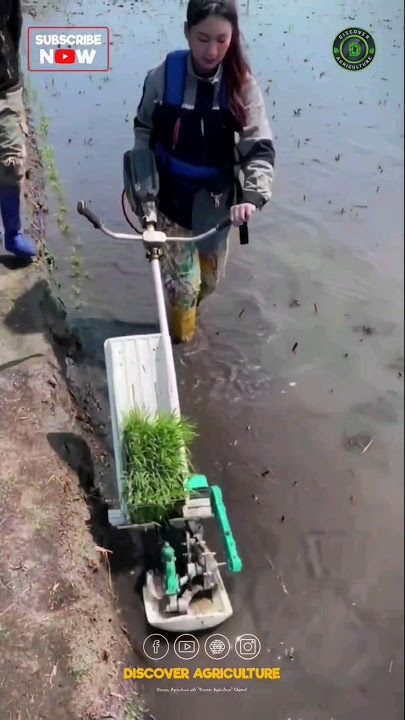 Rice Planting Machine