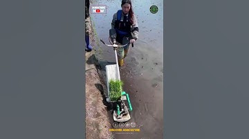 Rice Planting Machine