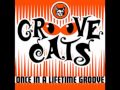 Groove Cats - Once In A Liftime Groove