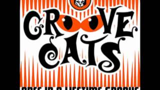 Groove Cats Once In A Liftime Groove Groove Cats Once In A Liftime Groove