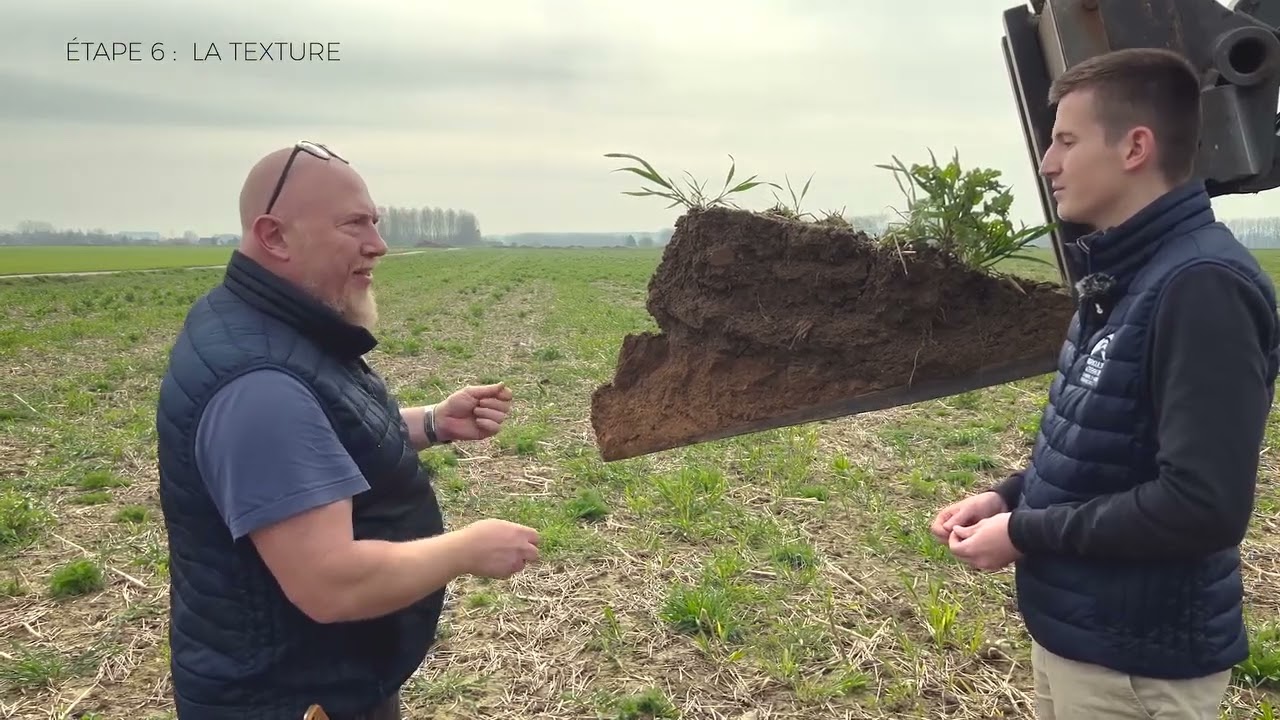 Comment faire son profil de sol ?