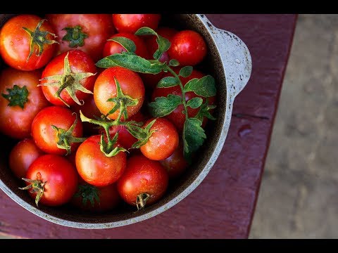 Video: Päikesekuivatatud Tomatid Kodus: Talvised Retseptid Ahju, Mikrolaineahju, Elektrilise Kuivati jaoks + Foto Ja Video