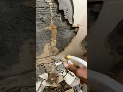 Ham To Dykh Kar Haran Ho Gay Youtubeshort