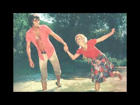 SELDA BAĞCAN - ÇEMBERİMDE GÜL OYA (1971)