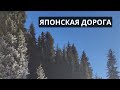 Прогулка по Японской дороге. Январь 2024. Алматы. #алматы #казахстан
