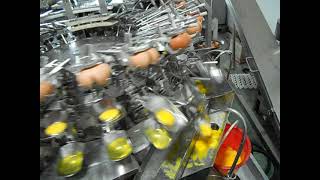 Automatic egg breaking separating machine