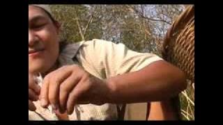 BALAM     Panteode chanchia jiknarara