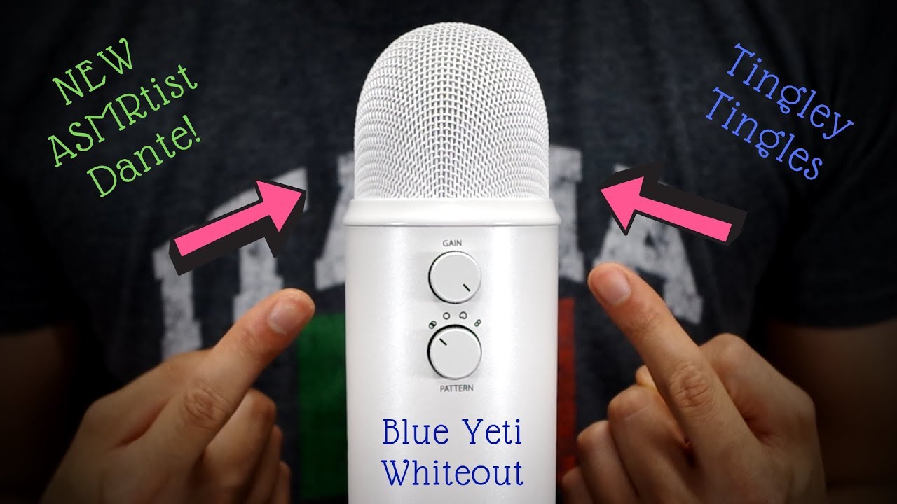 🎧 ASMR 🎧 | NEW Male ASMRtist Dante | Brushing With The Blue Yeti Whiteout - YouTube