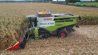 CLAAS LEXION 770TT bei der Körnermais-Ernte / Abfahrer JOHN DEERE 6930 mit ÜW / OSTERS & VOß / 4K