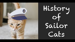 ⛵ Unbelievable! The History of Navy Cats Survived on High Seas by Pretty Purrfect Cat Facts 311 views 1 year ago 3 minutes, 43 seconds