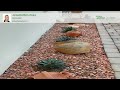 10609 W Audrey Drive Sun City AZ 85351