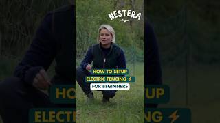 How to setup electric fencing  #chickencoop #backyardchickens #chickenkeeping #homestead #fencing