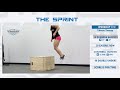 The European Championships 17.2 Movement Standards