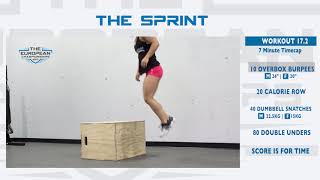 The European Championships 17.2 Movement Standards