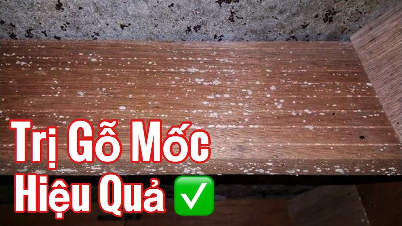 Xử Lý Mốc Gỗ Nhà Yến Hiệu Quả Không Tốn Tiền - YouTube