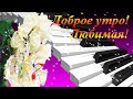 Доброе утро Любимая! Нежное пожелание доброго утра! Музыкальная видео открытка.