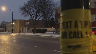 Friend remembers 93-year-old woman killed in West Side hit-and-run