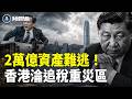 中共掃黑收生意，上億企業一夜歸零 | 2萬億資產難逃！香港淪追稅重災區？【財經熱點】