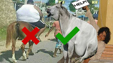 ¿Se puede montar a caballo con sobrepeso?